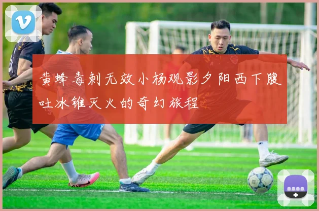 黄蜂毒刺无效小杨观影夕阳西下腹吐冰锥灭火的奇幻旅程