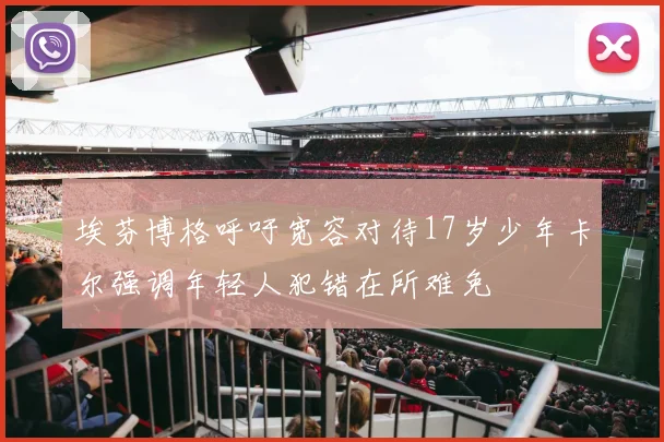 埃芬博格呼吁宽容对待17岁少年卡尔强调年轻人犯错在所难免