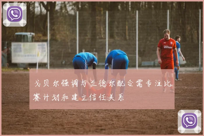 戈贝尔强调与兰德尔配合需专注比赛计划和建立信任关系