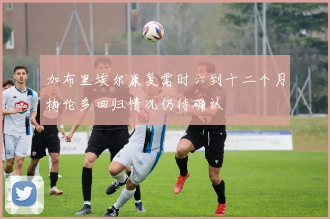 加布里埃尔康复需时六到十二个月梅伦多回归情况仍待确认