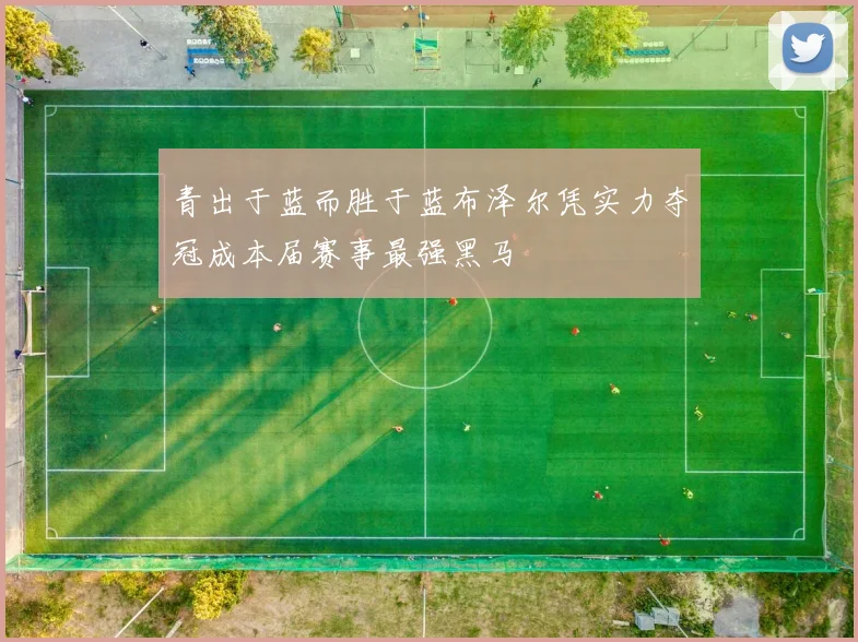 青出于蓝而胜于蓝布泽尔凭实力夺冠成本届赛事最强黑马